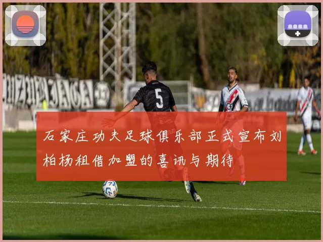 石家庄功夫足球俱乐部正式宣布刘柏杨租借加盟的喜讯与期待